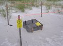 DSCN1679.jpg